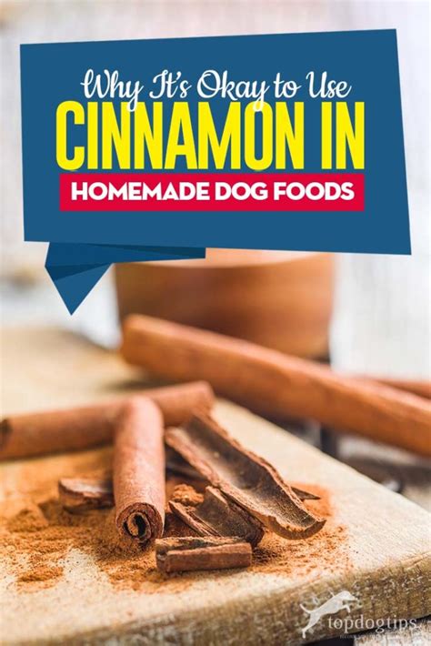 2 diy food for diabetic dog recipes. Cinnamon in Homemade Dog Food Recipes | Homemade dog food ...