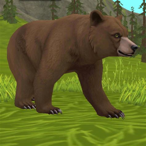 The thickness of a bear's skin can differ greatly depending on the type of bear. Bear | WildCraft Wiki | Fandom
