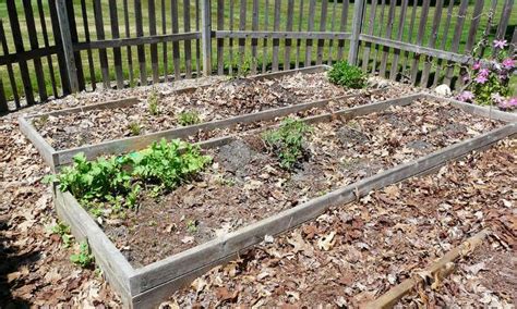 New lawns will do best if you. Raised bed garden | Garden prepping, Spring garden, Garden ...