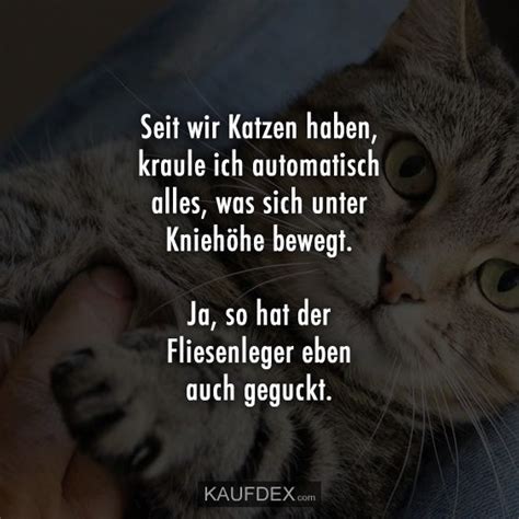 Wir bieten die schönsten sprüche zur hochzeit für das brautpaar in einer großen sammlung. Seit wir Katzen haben, kraule ich automatisch alles, was ...