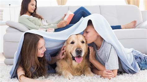 This is when acts of desperation occur. Is Pest Control Safe for My Family and Pets? - Modern Pest ...