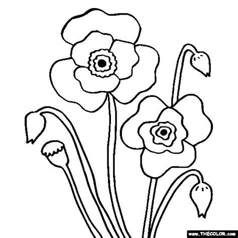 Choose from over a million free vectors, clipart graphics, vector art images, design templates, and illustrations created by artists worldwide! Free Poppy Flower Coloring Pages Murderthestout | Poppy coloring page, Flower coloring pages ...