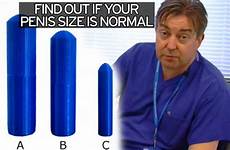 penis size ideal women inches perfect study length surprised want reveals pleasantly might bedroom loading