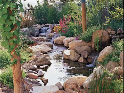 When it rains, water accordingly. Grow a natural backyard | Low water landscaping, Low water ...