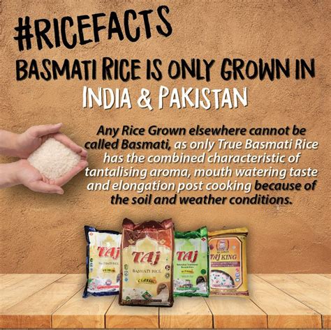 50 rice varieties seeds were. True Basmati comes from only two countries in the world ...