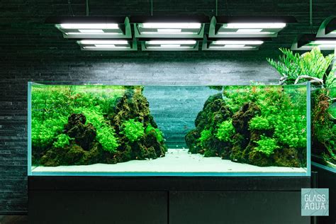 Takashi amano is one of the most influential people in the freshwater aquascaping community. Tokyo Sumida Nature Aquarium By Takashi Amano | Glass Aqua ...