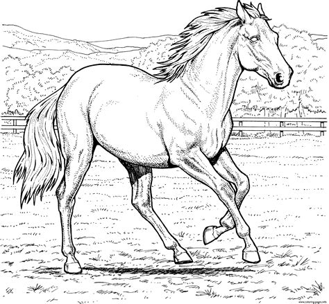 To print the coloring page Galloping Horse Coloring Pages Printable