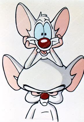 The pinky and the brain reunion special. animated cartoon characters TV Pinky and the Brain 35m ...