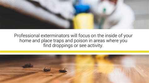 We break down pricing and costs to help you. How Much Does Home Pest Control Cost? - YouTube