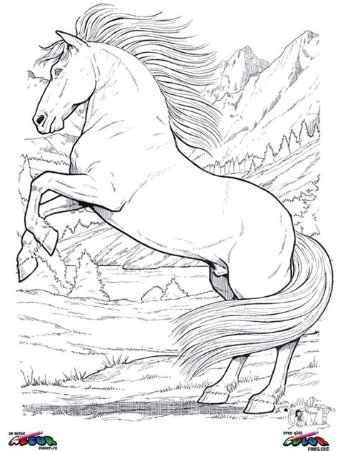 Printable coloring pages are fun and can help children develop important skills. Horses Coloring page - Horses007 | Horse coloring pages, Animal coloring books, Animal coloring ...