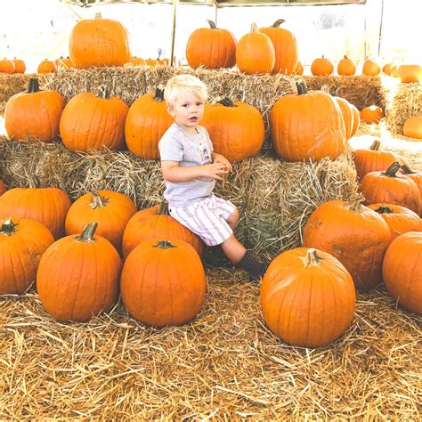 Maybe you would like to learn more about one of these? The Great Peter Pumpkin Patch, Petaluma, CA | Pumpkin ...
