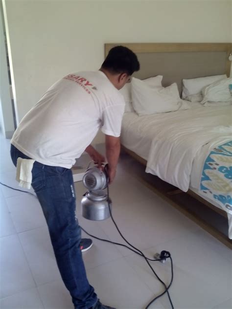 A wide variety of pest control in the philippines options are available to you, such as specification, feature, and use. ENTRAP PEST CONTROL SERVICES (Muntinlupa City, Philippines ...