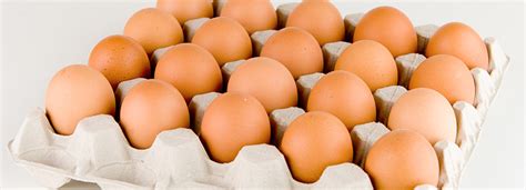 Start studying una docena de huevos. Huevo: el mercadeo continuo - Agrinews