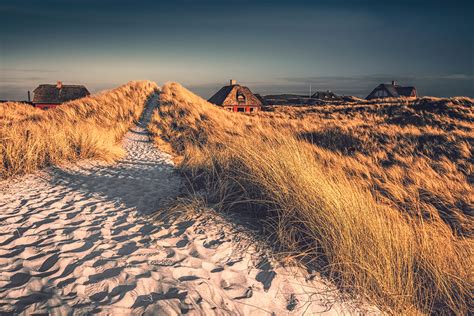 Top 10 strände in dänemark. Dünenpfad (Henne Strand) - Dirk Wiemer Fotografie ...