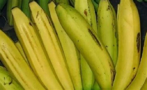 Warna jenis pisang mungkin berubah kepada hijau, kuning, merah, ungu atau coklat ketika matang. Ini Dia 8 Jenis Pisang Terenak di Indonesia, Wajib Dicoba!