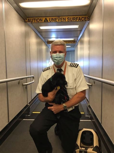 A southwest spokesman said it was too early to determine how many flight attendants it will need. Southwest Flight Attendant Flies Adopted Puppy 200 ...