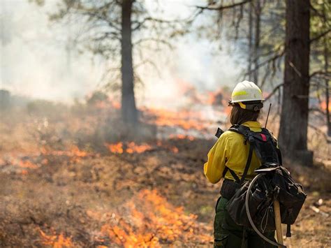 Maybe you would like to learn more about one of these? Wildfire preparation checklist | Liberty Mutual