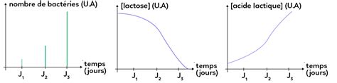 Cours et cahier numérique de svt 6ème. Graphique En Svt / Fiche Methode Decrire Et Lire Un Graphique De Type Courbe Youtube : Il y a 4 ...