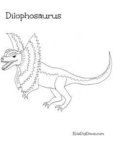 If the 'download' 'print' buttons …download free. Dinosaur Coloring Pages - Kids Dig Dinos