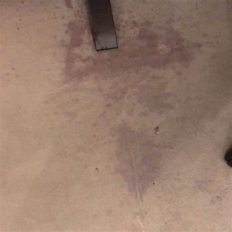 Rotweinflecken aus Teppich entfernen? (Reinigung, Flecken ...