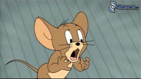 Many of our tom and jerry games feature graphics straight from the cartoons. Category:Tom and Jerry Characters | Corduroy (TV series ...