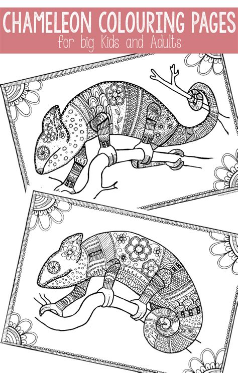 Search images from huge database containing over 620,000 coloring pages. Free Colouring Pages for Grown Ups - cool chameleons - Red ...