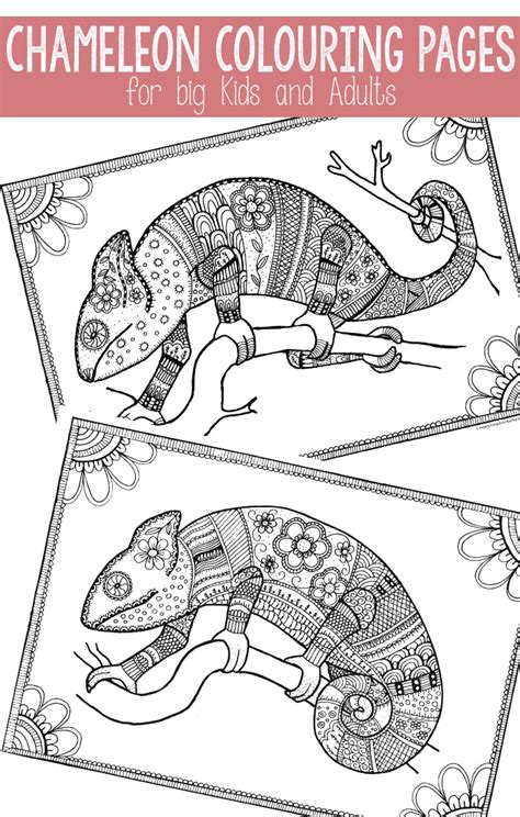 Military battleship army coloring pages 348ad. Free Colouring Pages for Grown Ups - cool chameleons - Red ...