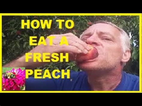 Just let those peaches bob in that cool water until you're ready to place them in the cans. How to eat a fresh peach-@praxxus55712 - YouTube