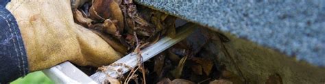 Northerntool.com has been visited by 100k+ users in the past month Gutter Cleaning Fairfield County CT | Gutter Cleaners CT