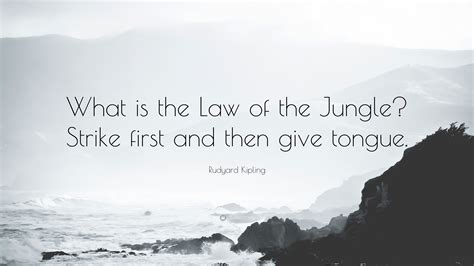 —used to describe a situation in which people do whatever they want to or whatever is necessary to survive or succeed an industry governed by the law of the jungle. Rudyard Kipling Quote: "What is the Law of the Jungle? Strike first and then give tongue."
