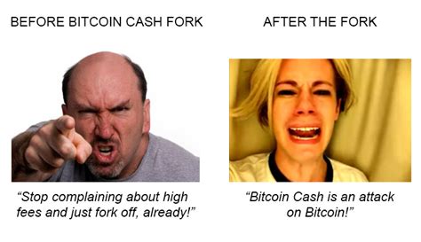 Bitcoin has been multiple issues over the last years, including scalability and the transaction time. Bitcoin Cash Meme | Earn Bitcoin Per Day