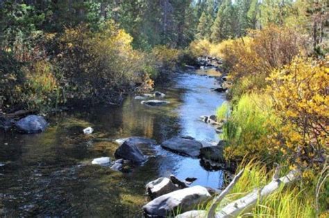 If you own a claim and want to sell it, you can list it here for free. Wyoming Gold Mining Claim Prime Rock Hounding River Mine 20 acres. Gold Claims for sale at this ...