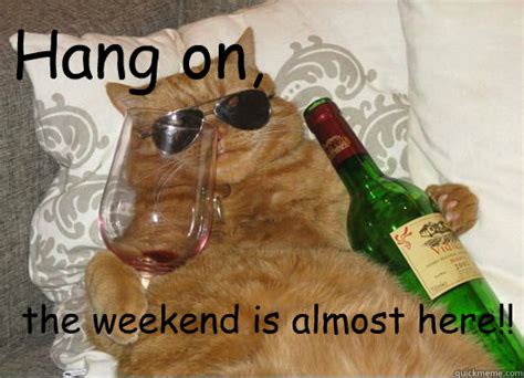Wine, beer & spirits store. Hang on, the weekend is almost here!! - fat cat with wine ...