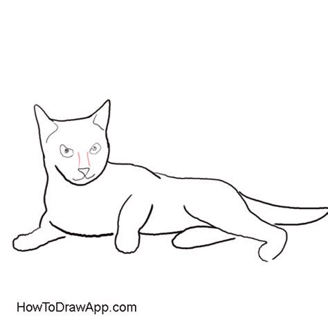 Kid drawing illustrations & vectors. How to draw a cat step by step for kids