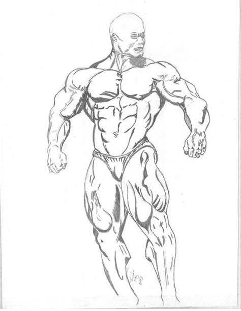 We think this is the most useful anatomy picture that. Body Builder (With images) | Sketches, Drawings, Female ...