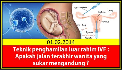 Namun, sel telur yang telah dibuahi terkadang bisa tertanam dan tumbuh di luar rahim. Hisemudin Kasim: Teknik penghamilan luar rahim IVF ...