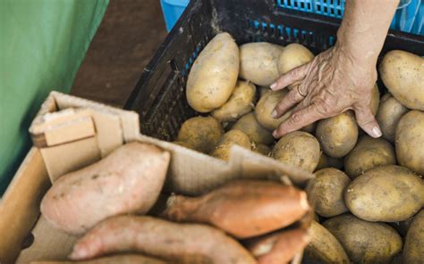 Do you know how long your refrigerator will last? How Long do Potatoes Last (In the Fridge, Pantry and Freezer)