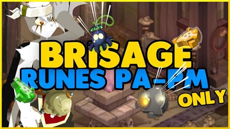 Les runes de transcendance et les runes de corruption arrivent sur dofus avec la mise à jour 2.49. Rune De Transcendance Dofus Liste