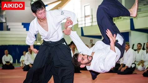 Egpu model name / number: Aikido Highlights in Italy - Shirakawa Ryuji shihan - YouTube