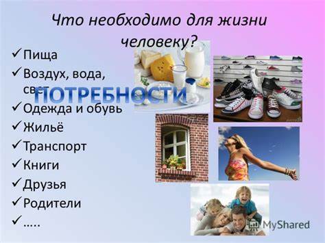 Что необходимо для диеты
