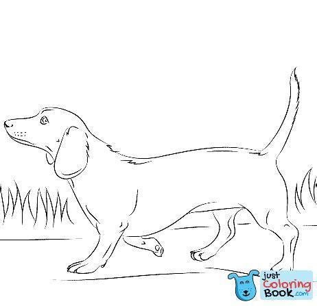 Color your own are black and white line drawings or coloring pages, all of them my own original artwork, which you can copy and . dachshund dog coloring page free printable coloring pages ...