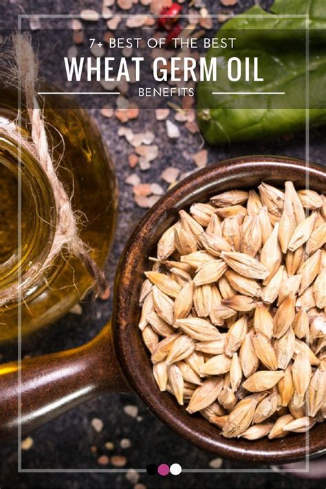 Wheat germ oil is high in nutritional value and can be used for several purposes. 7 Wheat Germ Oil Benefits you Didn't Know About | Wheat ...