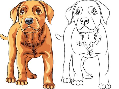 Dibujos de perros para colorear - Hogarmania