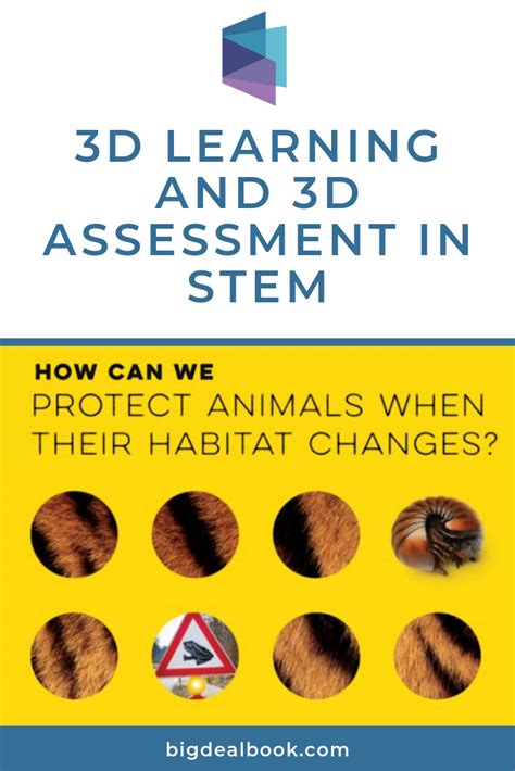 We are down to the very last week, folks! #3D #learning #assessment #STEM | Stem resources ...
