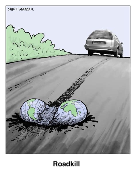 'Roadkill' cartoon by Chris Madden | Cartoon, Storybook, A ...