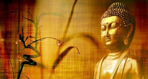 Affidati al messaggio del maestro, non alla sua personalità. Frasi del buddha: 15 aforismi buddisti