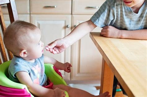 Lantas apa itu kursi kantor? Perbedaan Dua Jenis Kursi Makan Bayi, High Chair dan ...