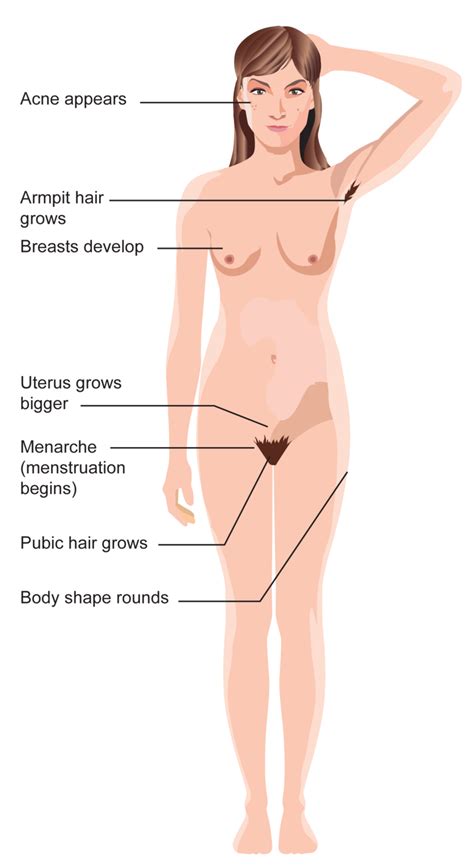 Puberty is when a child's body begins to develop and change as they become an adult. girlpubic hair growth