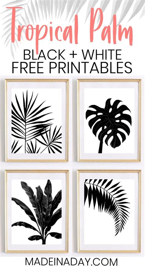 Why is it important for children to start gardening? Black & White Tropical Palm Leaf Wall Art Printables ...