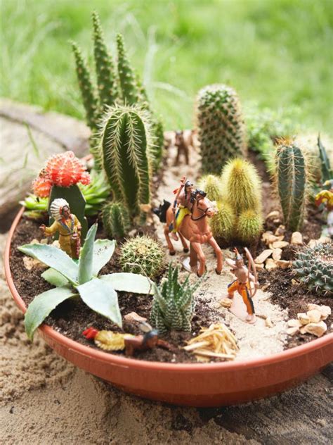 The clay trays used for bonsai are. Mini Cactus Gardens That Will Leave You Speechless